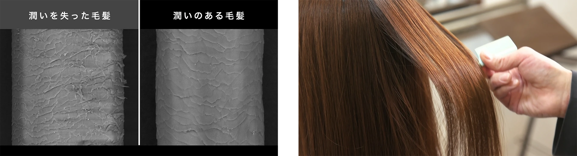 潤いのある毛髪へ